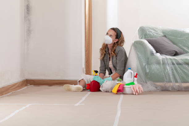 Reliable Black Mold Remediation contractor in Piney Mountain, VA by 24 Hour Mold Removal
